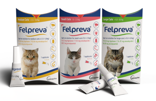 Felpreva for Cats – 3 Monthly Flea & Worm Treatment