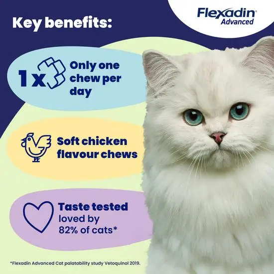 White cat with Flexadin Advanced cat supplement key benefits displayed on a blue and yellow background