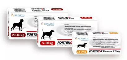 Fortekor Flavour Tablets for Dogs & Cats | Benazepril