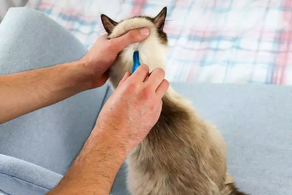 Frontline Spot-On Flea & Tick Treatment for Dogs and Cats