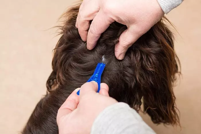 Frontline Spot-On Flea & Tick Treatment for Dogs and Cats