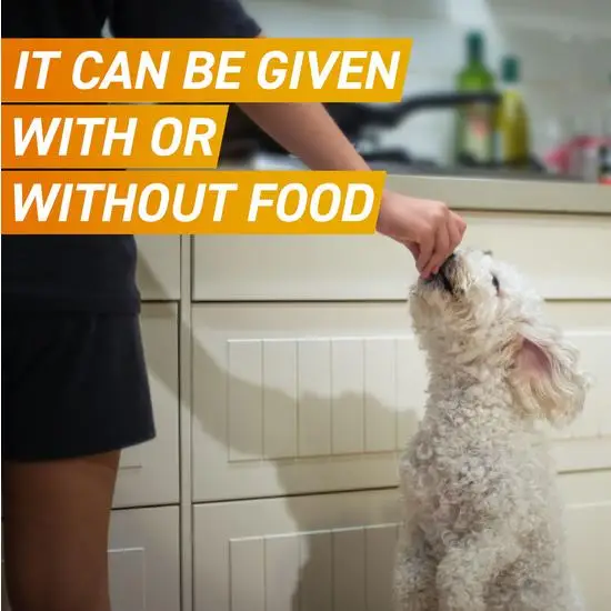 Person feeding a frontpro tablet to a dog with text overlay in a kitchen setting