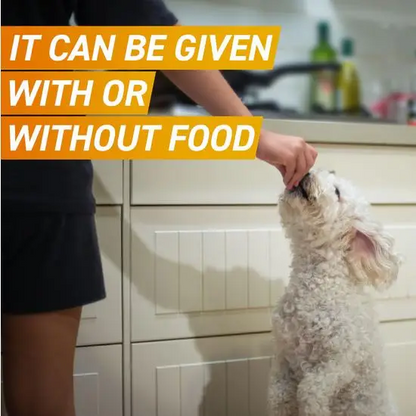 Person feeding a frontpro tablet to a dog with text overlay in a kitchen setting