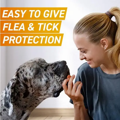 Woman with a dog, with text about flea and tick protection.