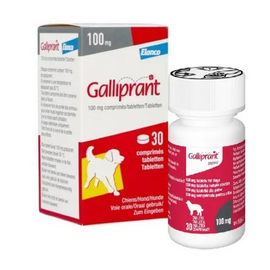 Galliprant 100mg packaging and bottle on a white background