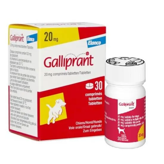 Galliprant 20mg packaging and bottle on a white background
