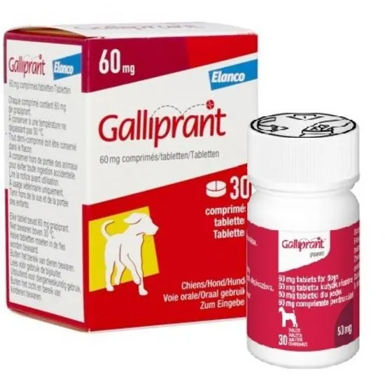Galliprant 60mg packaging and bottle on a white background