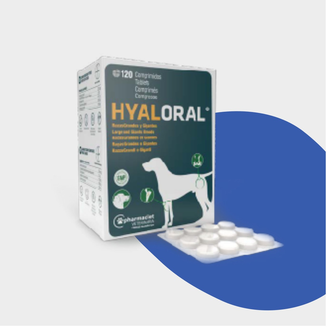 Hyaloral packaging with tablets on a white background