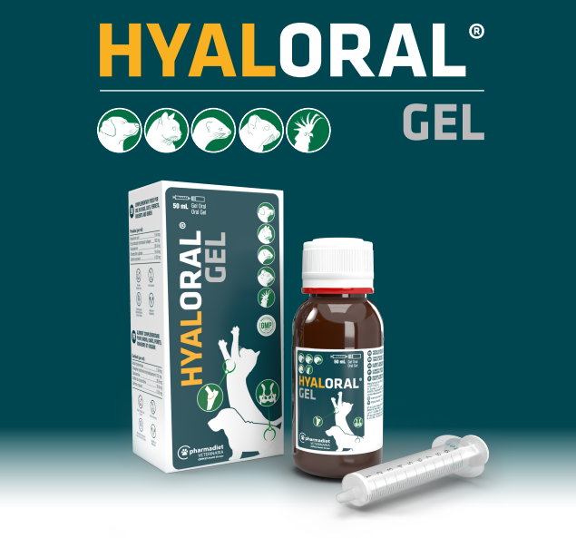 Hyaloral Gel packaging and bottle on a blue background