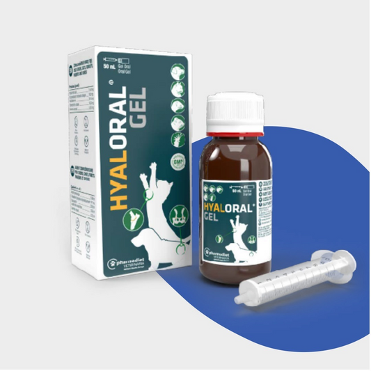 Hyaloral Gel packaging with bottle and syringe on a blue and white background