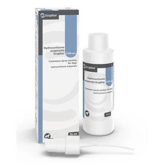 Hydrocortisone Aceponate Cutaneous Spray Solution for Dogs