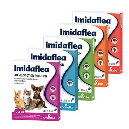 Imidaflea spot-on solution packaging for pets in various colors on a white background