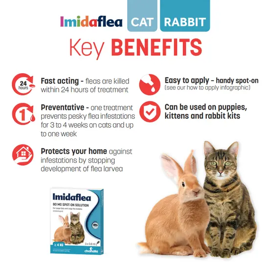 Advertisement for Imidaflea cat and rabbit flea treatment with key benefits listed.