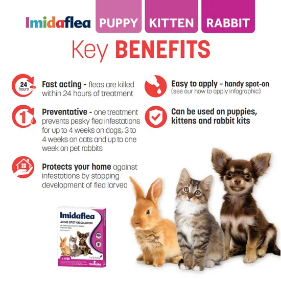 Advertisement for Imidaflea pet products with text on benefits and images of a dog, cat, and rabbit.