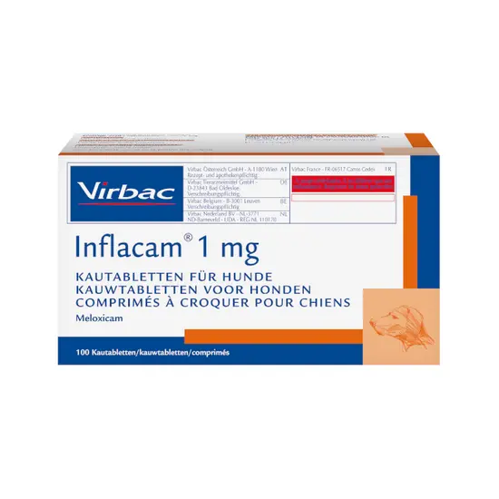 Inflacam for Dogs | Meloxicam
