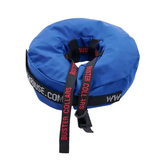 Blue inflatable dog recovery collar with black straps on a white background