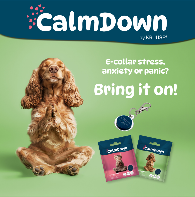 Dog sitting calmly with CalmDown by KRUUSE products on a green background