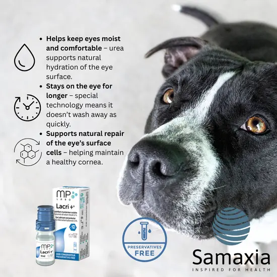 Samaxia Lacri+Lubricating and Protecting Eye Drops for Dogs and Cats Prone to Dry Eyes