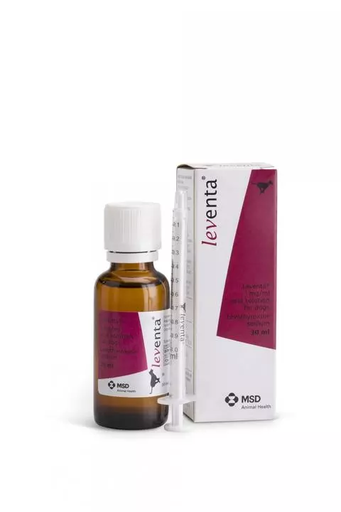 Leventa Oral Solution for Dogs 1mg/ml