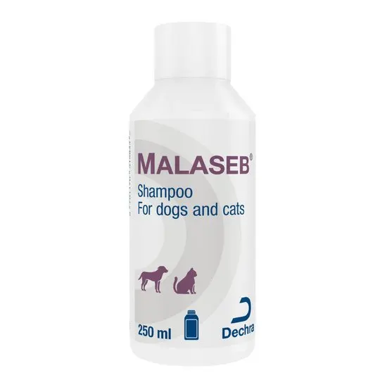 Malaseb shampoo bottle for dogs and cats on a white background