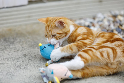 Cat playing with a blue toy on a carpeted floor
