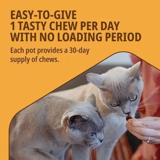 Movoflex Joint and Mobility Supplement Soft Chews for Cats