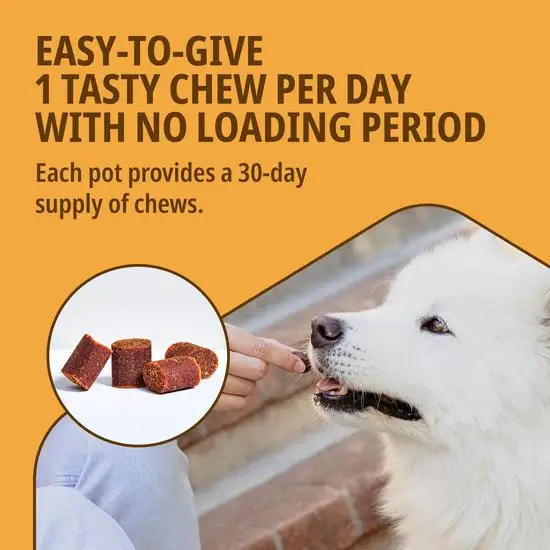 Movoflex Joint and Mobility Support Chews for Dogs