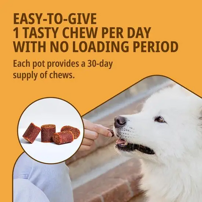 Movoflex Joint and Mobility Support Chews for Dogs