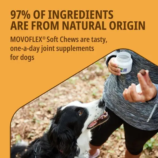 Movoflex Joint and Mobility Support Chews for Dogs