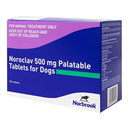 Noroclav Tablets for Dogs and Cats