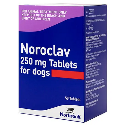 Noroclav Tablets for Dogs and Cats