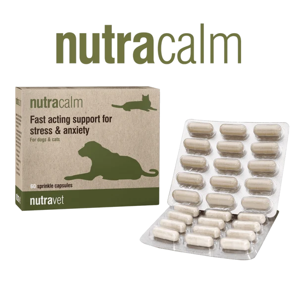 NutraCalm Calming Support for Dogs and Cats