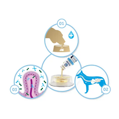 Diagram showing the process of administering oralade to a dog, including dosing, mixing, and absorption.