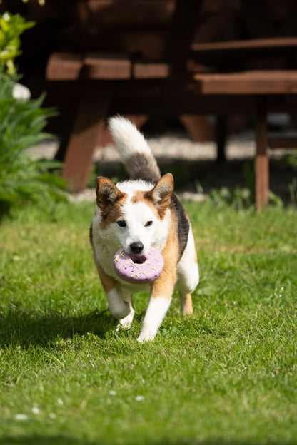 Dog running on grass with a pink toy in its mouth