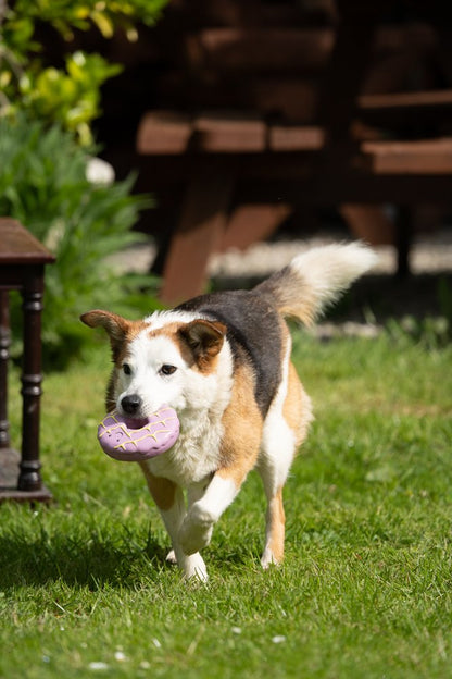 Dog running on grass with a pink toy in its mouth