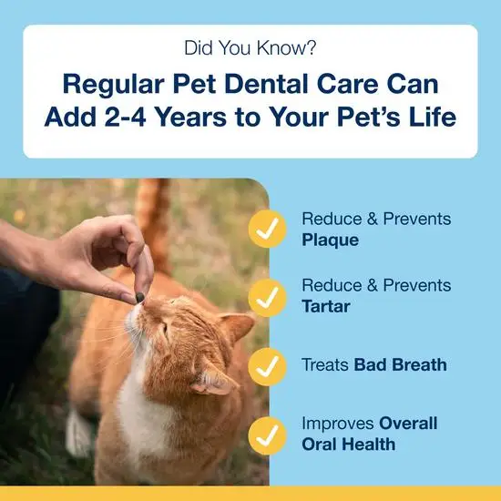 PlaqueOff Dental Soft Chews for Cats and Dogs