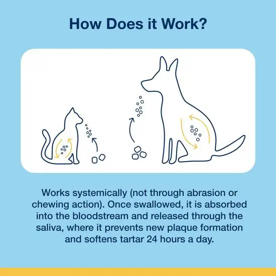 PlaqueOff Dental Soft Chews for Cats and Dogs