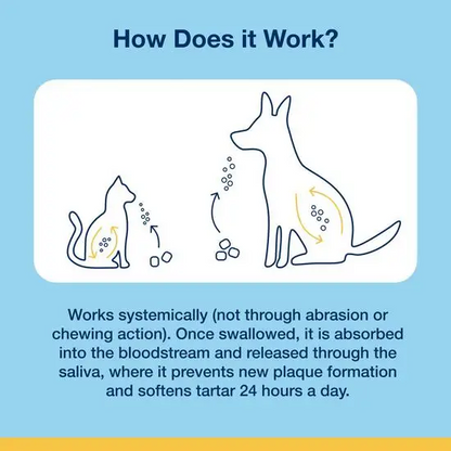 PlaqueOff Dental Soft Chews for Cats and Dogs