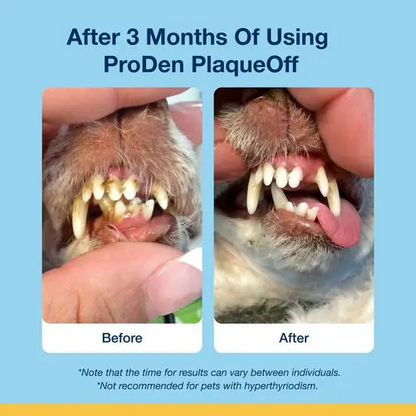 PlaqueOff Dental Soft Chews for Cats and Dogs