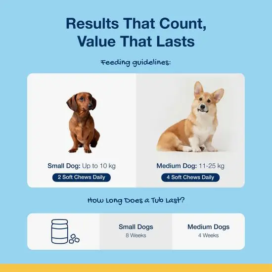 PlaqueOff Dental Soft Chews for Cats and Dogs