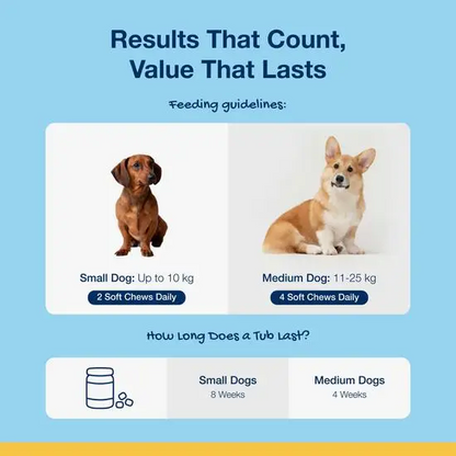 PlaqueOff Dental Soft Chews for Cats and Dogs