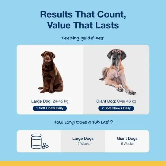 PlaqueOff Dental Soft Chews for Cats and Dogs