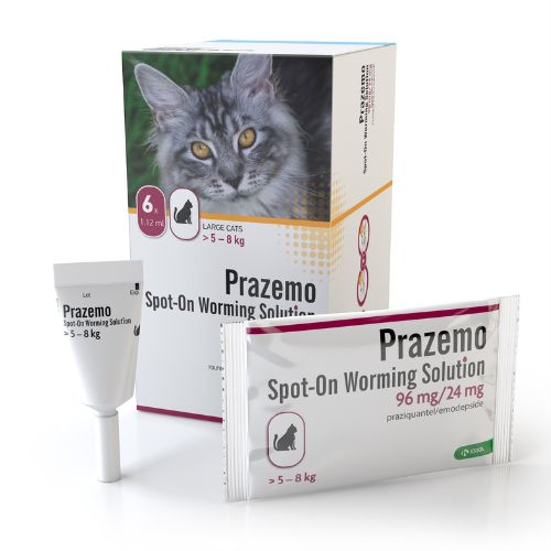Prazemo Spot-On for Cats (Pack of 6 pipettes)