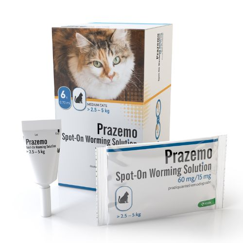 Prazemo Spot-On for Cats (Pack of 6 pipettes)