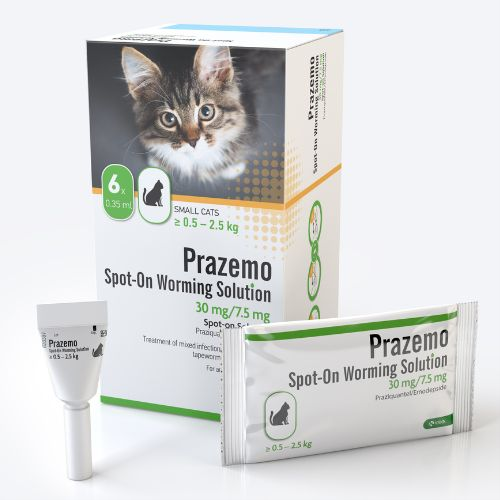 Prazemo Spot-On for Cats (Pack of 6 pipettes)