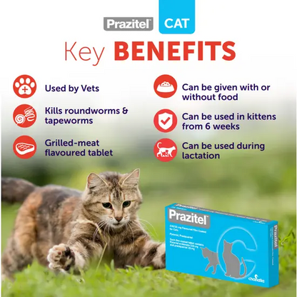 Prazitel Worming Tablets for Dogs and Cats (1 Tablet)