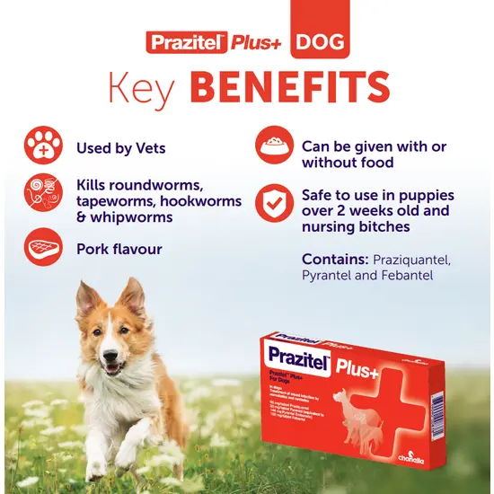 Prazitel Worming Tablets for Dogs and Cats (1 Tablet)