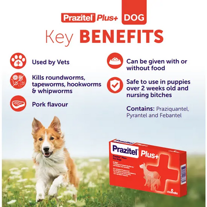 Prazitel Worming Tablets for Dogs and Cats (1 Tablet)