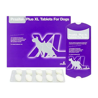 Prazitel Worming Tablets for Dogs and Cats (1 Tablet)