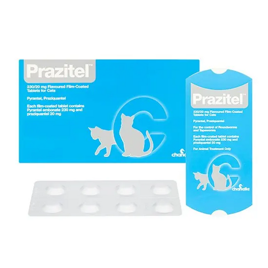 Prazitel Worming Tablets for Dogs and Cats (1 Tablet)